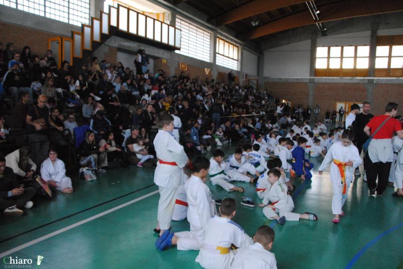 play-judo-293