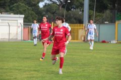 provastobvm080326-81