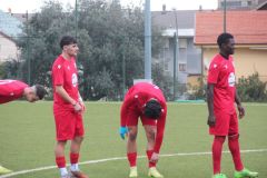 provastobvmj260126-11