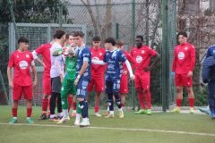 provastobvmj260126-2