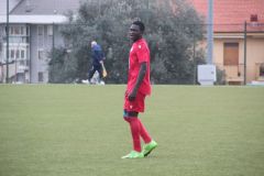 provastobvmj260126-61