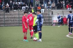 provastobvmj260126-76