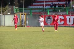 provastomosciano260426-114