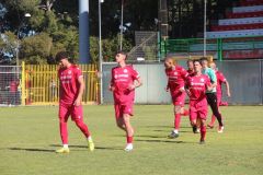 provastomosciano260426-57