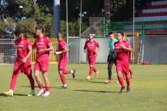 provastomosciano260426-58