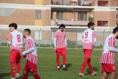 provastoovidianasulmona250126-30