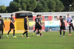 provastoovidianasulmona250126-33