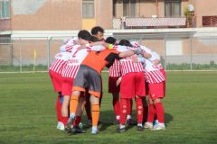 provastoovidianasulmona250126-34