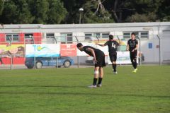 provastoovidianasulmona250126-37