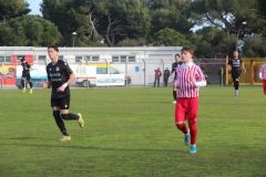 provastoovidianasulmona250126-39