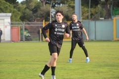 provastoovidianasulmona250126-42