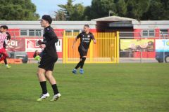 provastoovidianasulmona250126-53