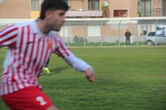 provastoovidianasulmona250126-54