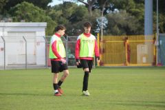 provastoovidianasulmona250126-6