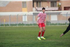 provastoovidianasulmona250126-67