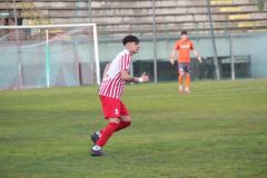 provastoovidianasulmona250126-68