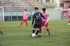 provastoovidianasulmona250126-69