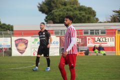 provastoovidianasulmona250126-74