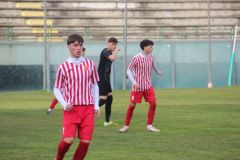 provastoovidianasulmona250126-76