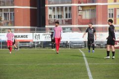 provastoovidianasulmona250126-79