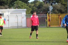 provastoovidianasulmona250126-8