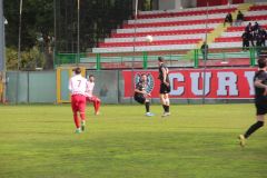 provastoovidianasulmona250126-82