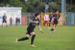 provastoovidianasulmona250126-86