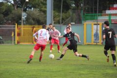 provastoovidianasulmona250126-87
