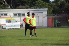 provastoovidianasulmona250126-9