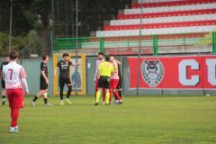 provastoovidianasulmona250126-90