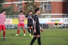 provastoovidianasulmona250126-91