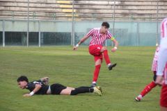 provastoovidianasulmona250126-95