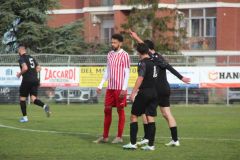 provastoovidianasulmona250126-98