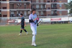 provastopineto110826-119