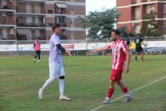 provastopineto110826-120