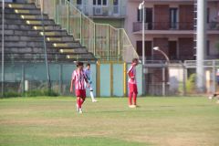 provastopineto110826-42