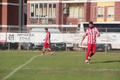 provastopineto110826-88