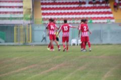provastopineto1108261-14