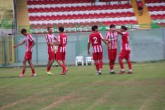 provastopineto1108261-15