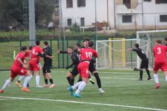 provastovirtuscupello110126-48