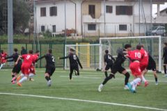 provastovirtuscupello110126-49