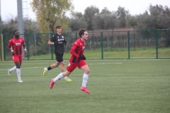 provastovirtuscupello110126-97