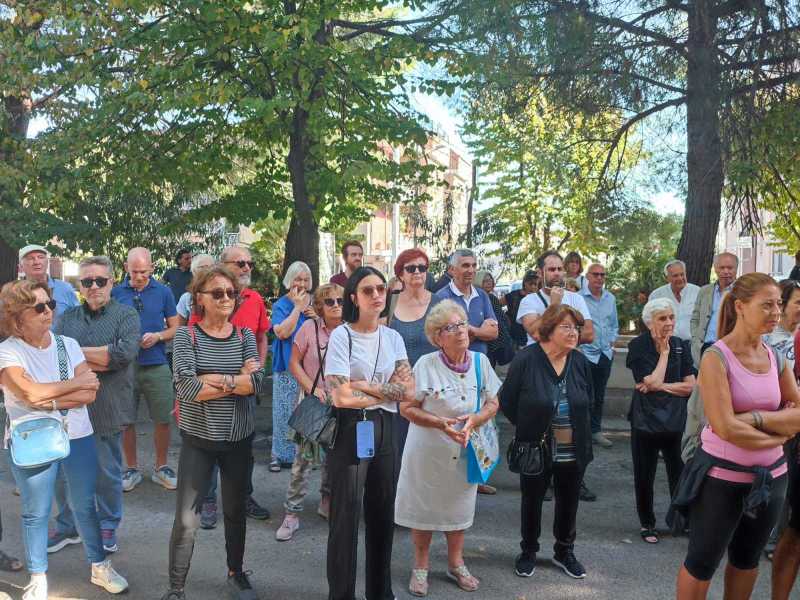 protesta-abbattimento-pini-13