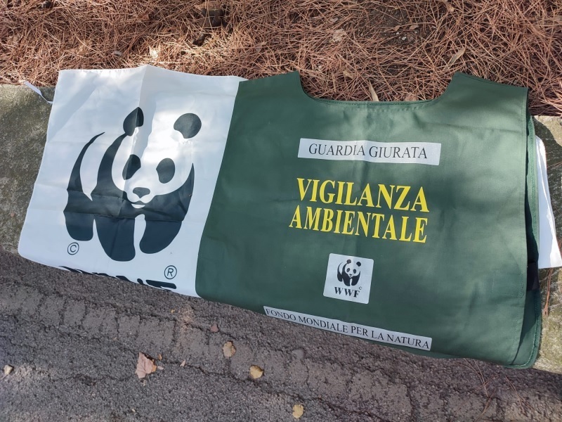 protesta-abbattimento-pini-17