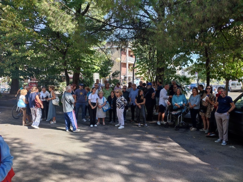 protesta-abbattimento-pini-9