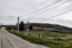 ributtini-16