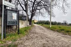 ributtini-19