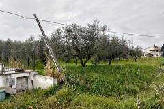 ributtini-20