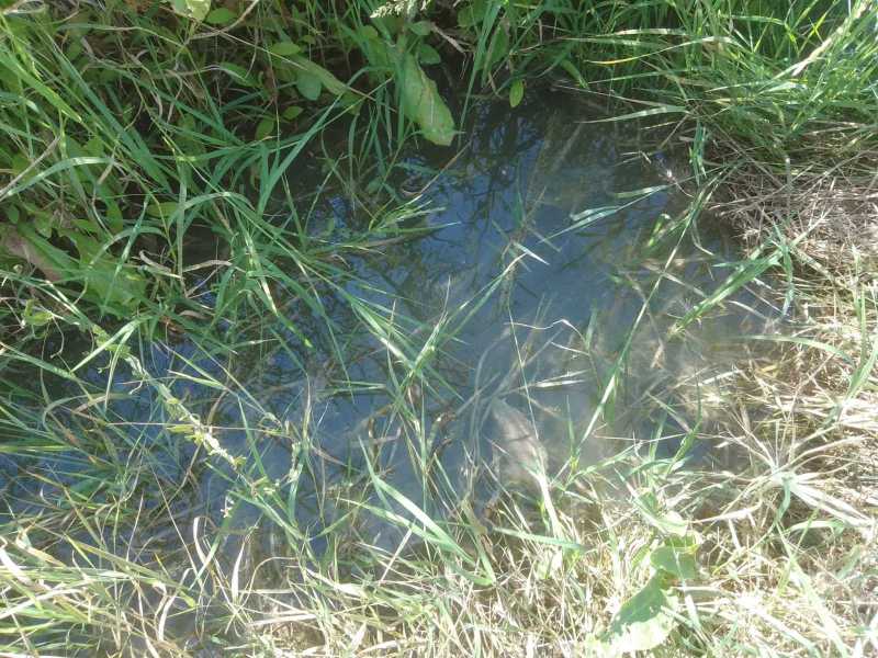 rottura-condotta-acqua-lentella-7