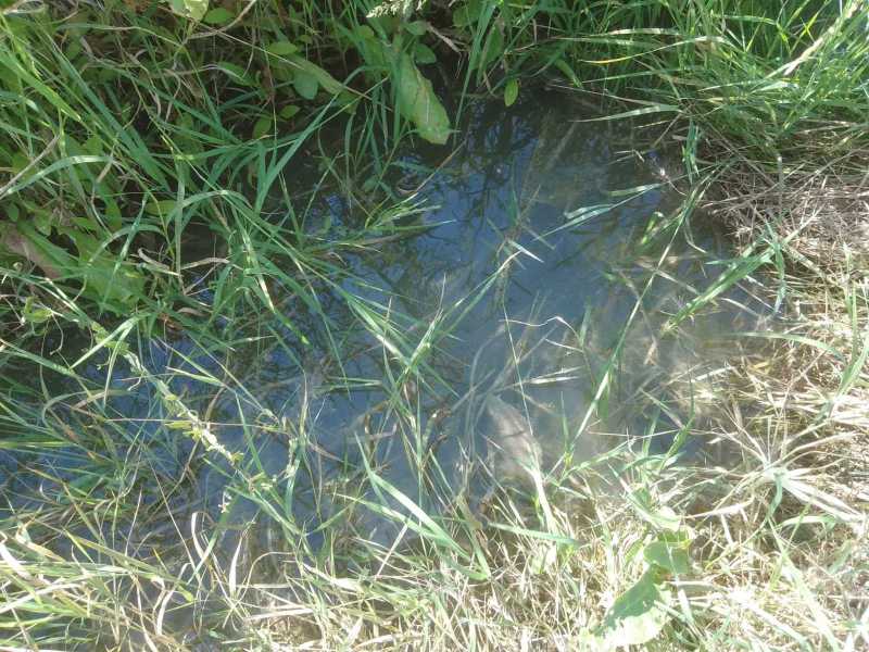 rottura-condotta-acqua-lentella-7